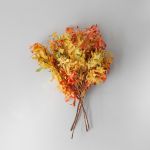 Preserved Oak Branches