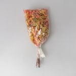 Preserved Oak Branches