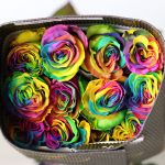 Rainbow Roses (Bulk DIY)