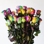Rainbow Roses (Bulk DIY)