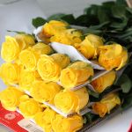 Roses Brighton 70cm (en vrac)