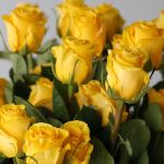 Roses Brighton 70cm (en vrac)