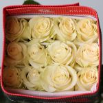 Mondial Roses 70cm (Bulk)