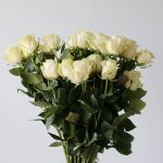Mondial Roses 70cm (Bulk)