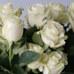 Mondial Roses 70cm (Bulk)