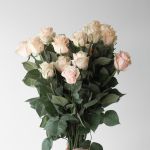 Roses Pink Mondial 70cm (Bulk DIY)