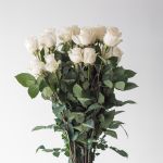 White Rose Vendela 70 cm (Bulk DIY)