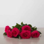 Fuchsia Full Monty Roses