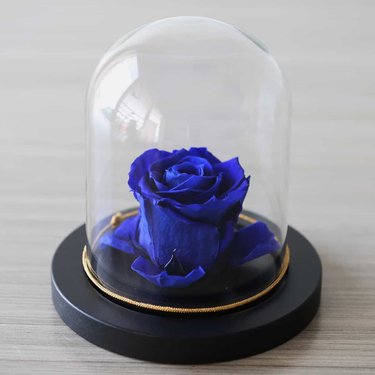 Immortal Rose (Standard, Blue)