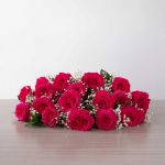 Fuchsia Full Monty Roses