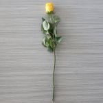 Individual Long Stem Roses