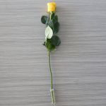 Individual Long Stem Roses