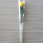 Individual Long Stem Roses