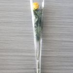 Individual Long Stem Roses