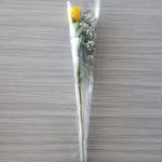 Individual Long Stem Roses