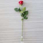 Individual Long Stem Roses