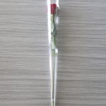 Individual Long Stem Roses