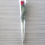 Individual Long Stem Roses