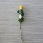 Roses individuelles à tige moyenne