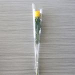 Roses individuelles à tige moyenne