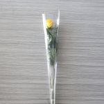 Roses individuelles à tige moyenne