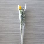 Roses individuelles à tige moyenne