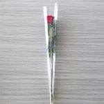 Roses individuelles à tige moyenne