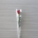 Roses individuelles à tige courte