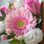 Enduring Peace Basket