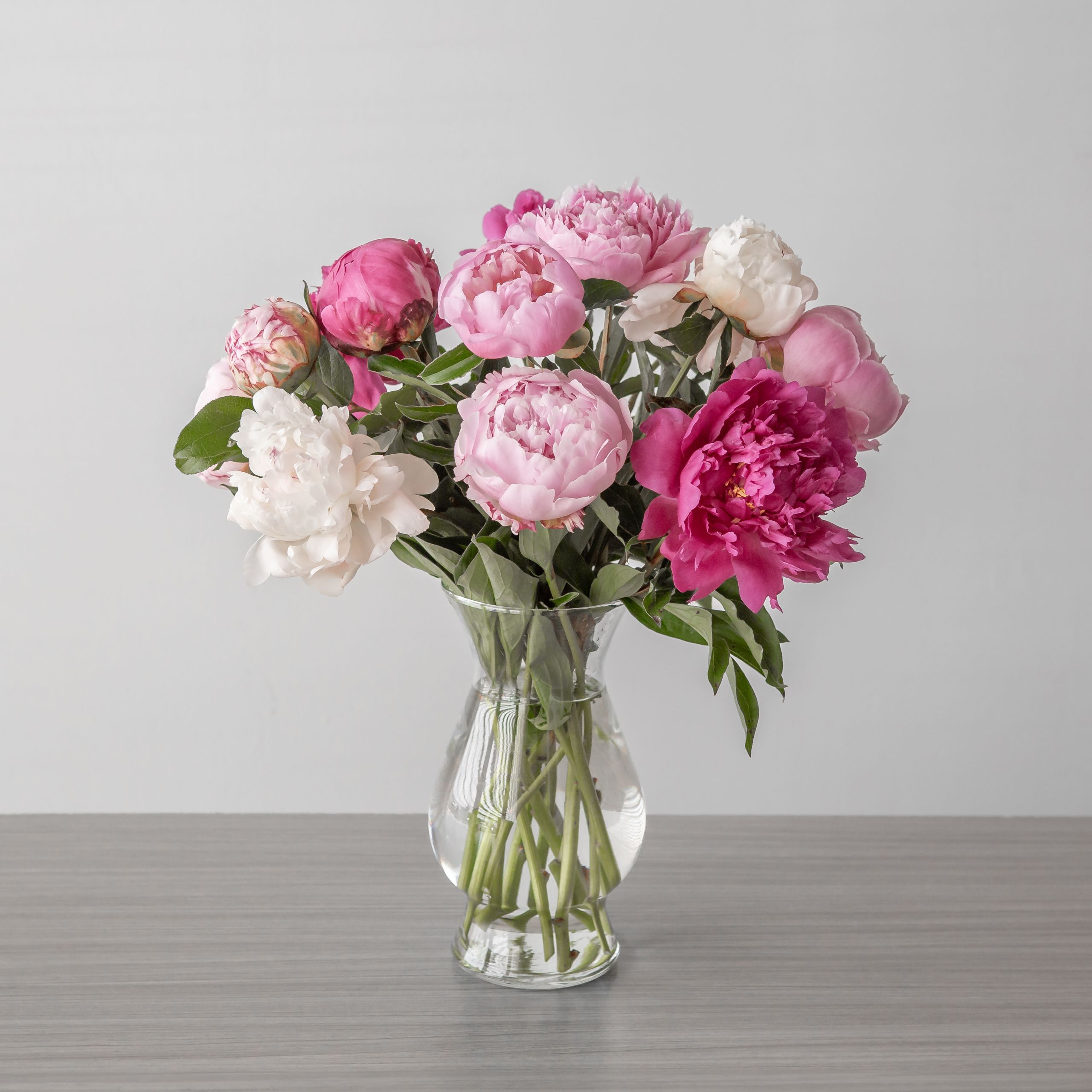 Pretty Peonies vas 15 Stem Lebouquet mtl