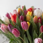 Le Jardin Canadien de Tulipes