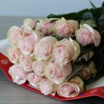 Roses Pink Mondial 60cm (Bulk DIY)