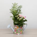 Jardinière Arrosoir Airy 