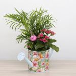 Jardinière Arrosoir Airy 