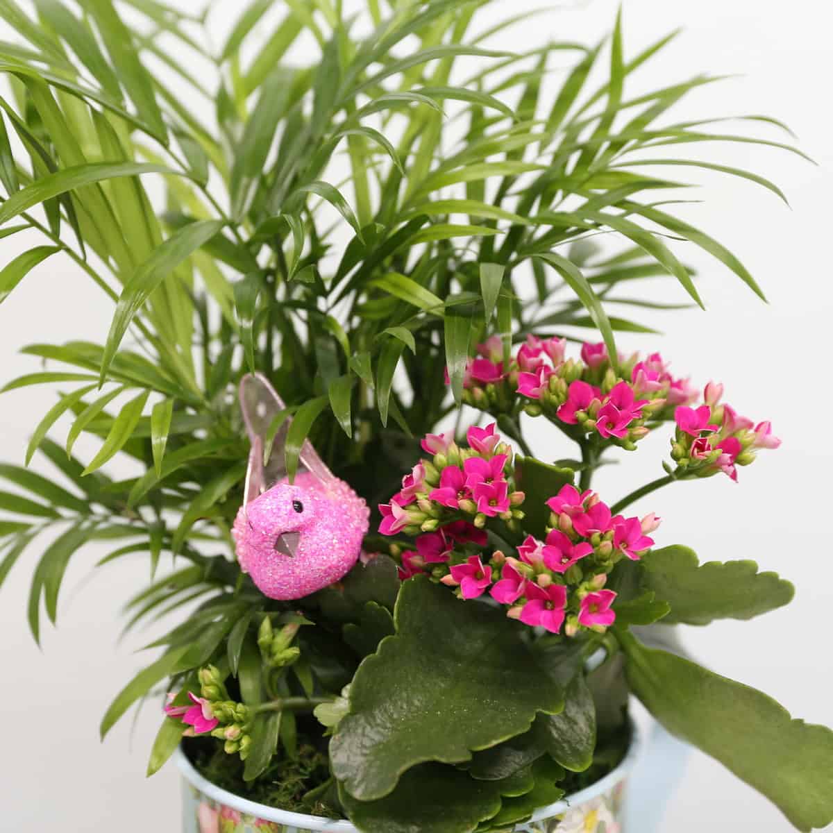 Airy watering can
