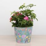 Jardinière Métallique Honeysuckle