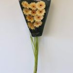 Mini Gerbera Cafe Peach (Bulk DIY)