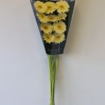 Mini Gerbera Romily (Bulk DIY)