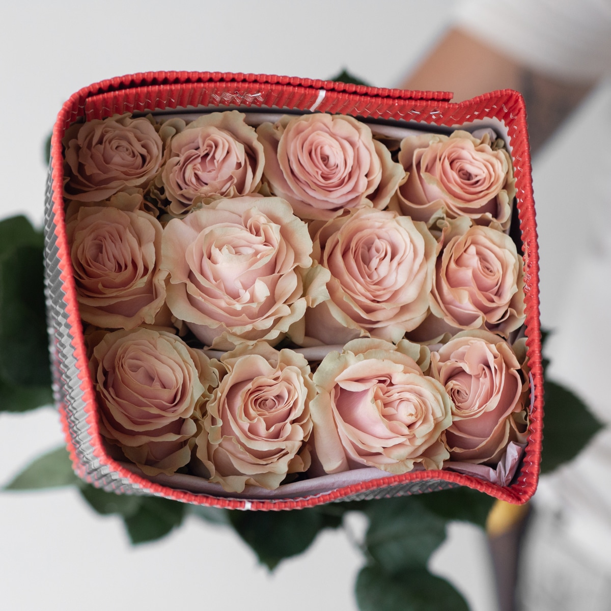 Rose PInk Mondial