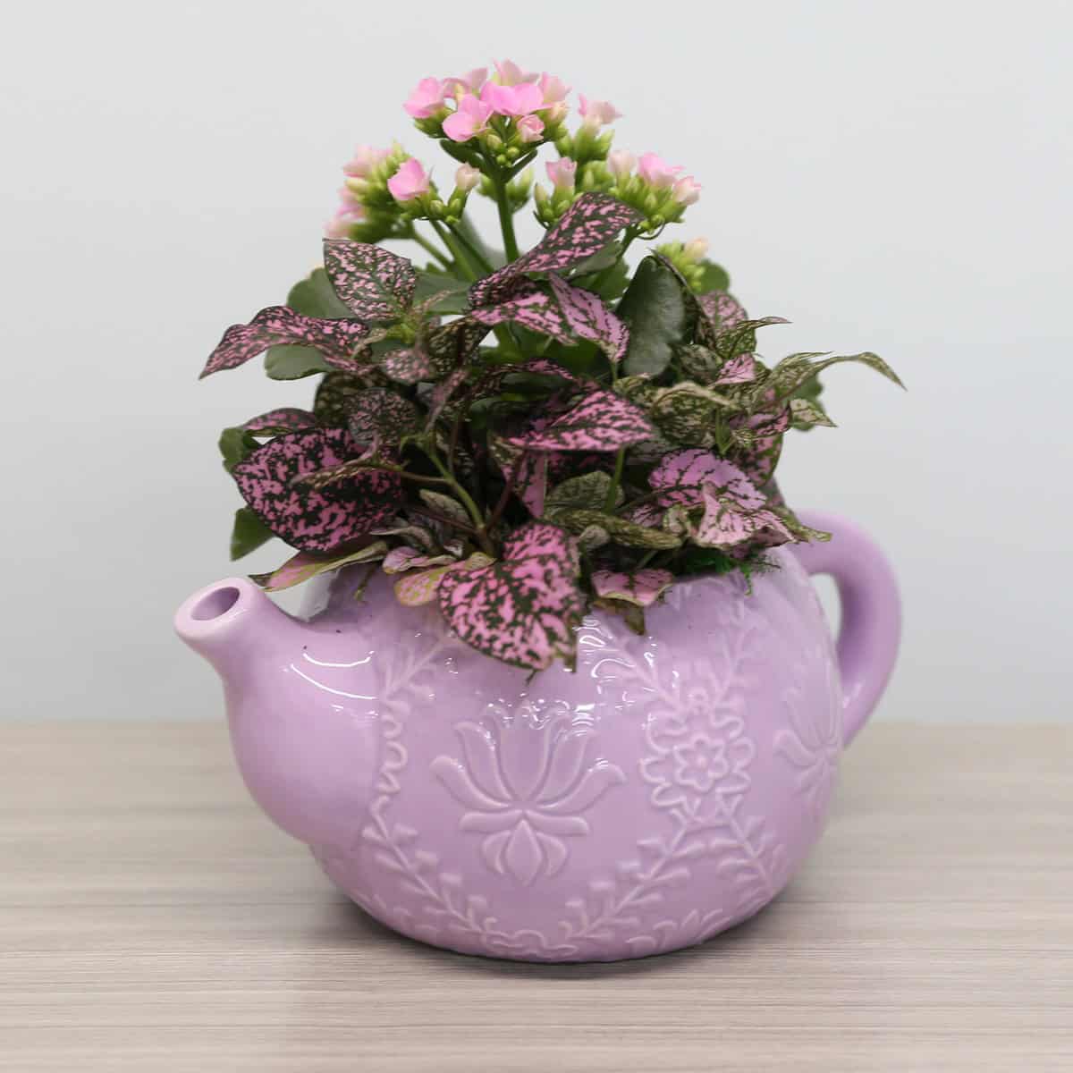 teapot arrangement