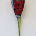 Mini Gerbera Vuelta (Bulk DIY)