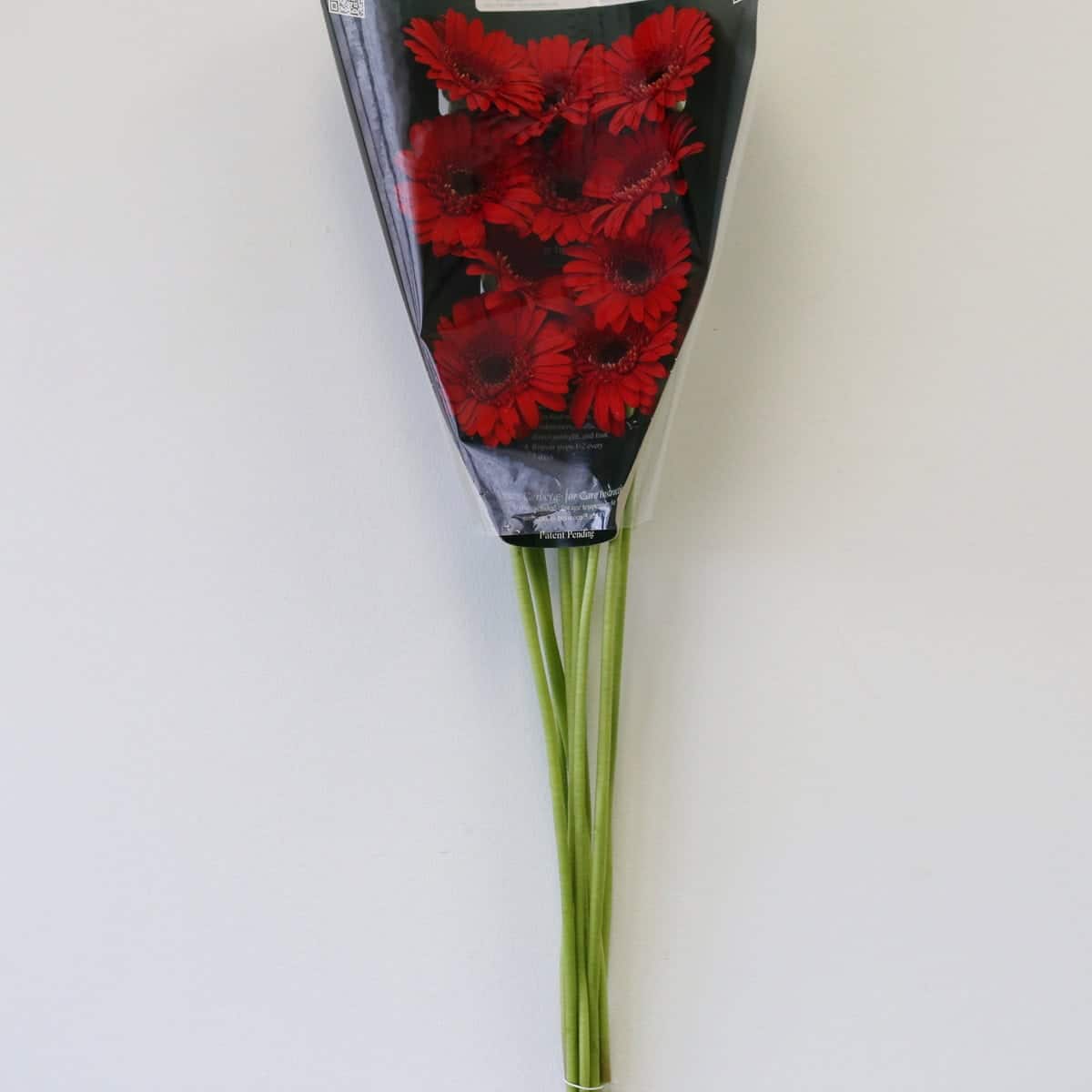 Mini Gerbera Vuelta (Bulk DIY)