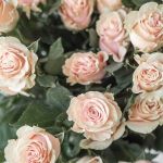 Test sale date (2 bunches, Gold, 30 Piece (500g), With greenery)