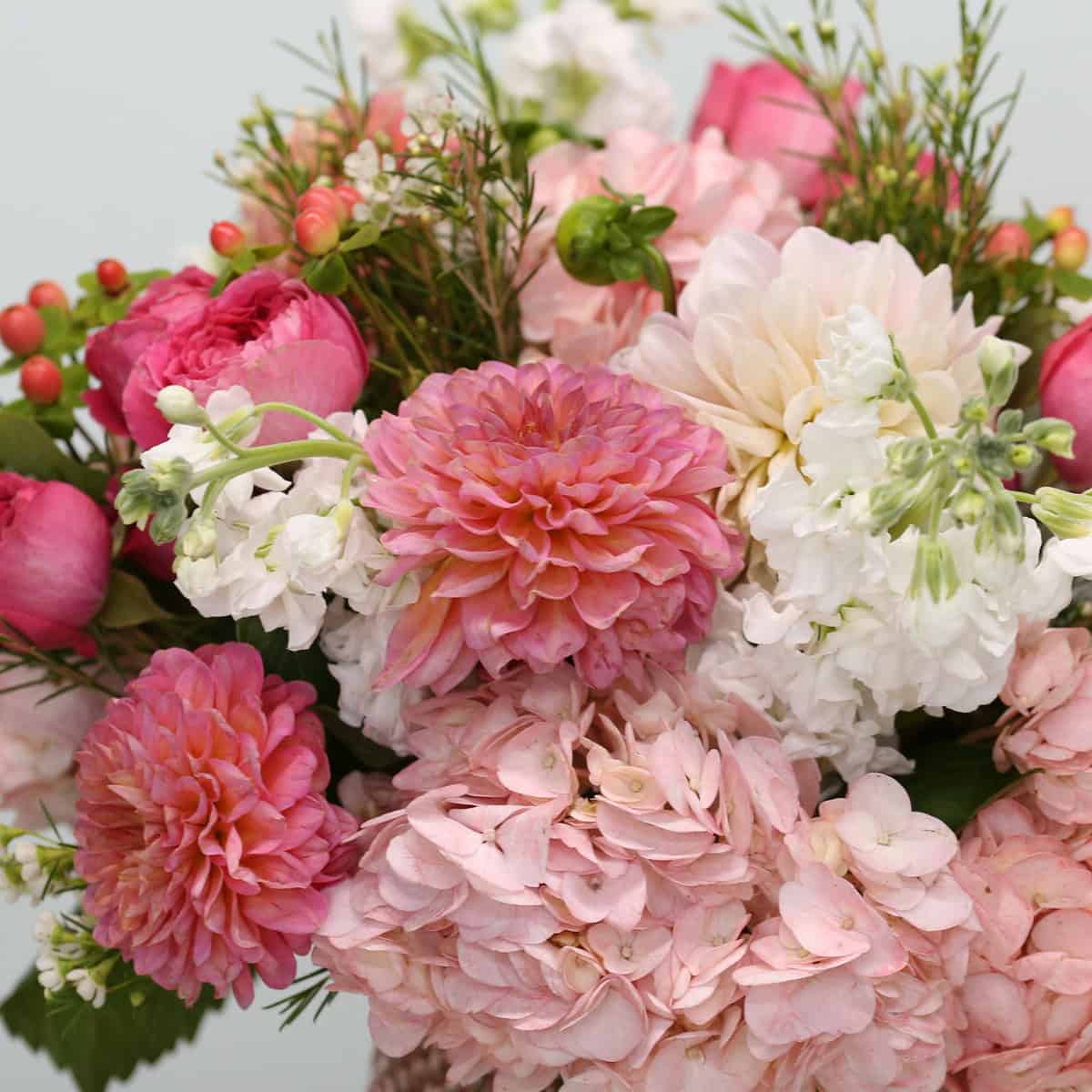 Floral Rhapsody