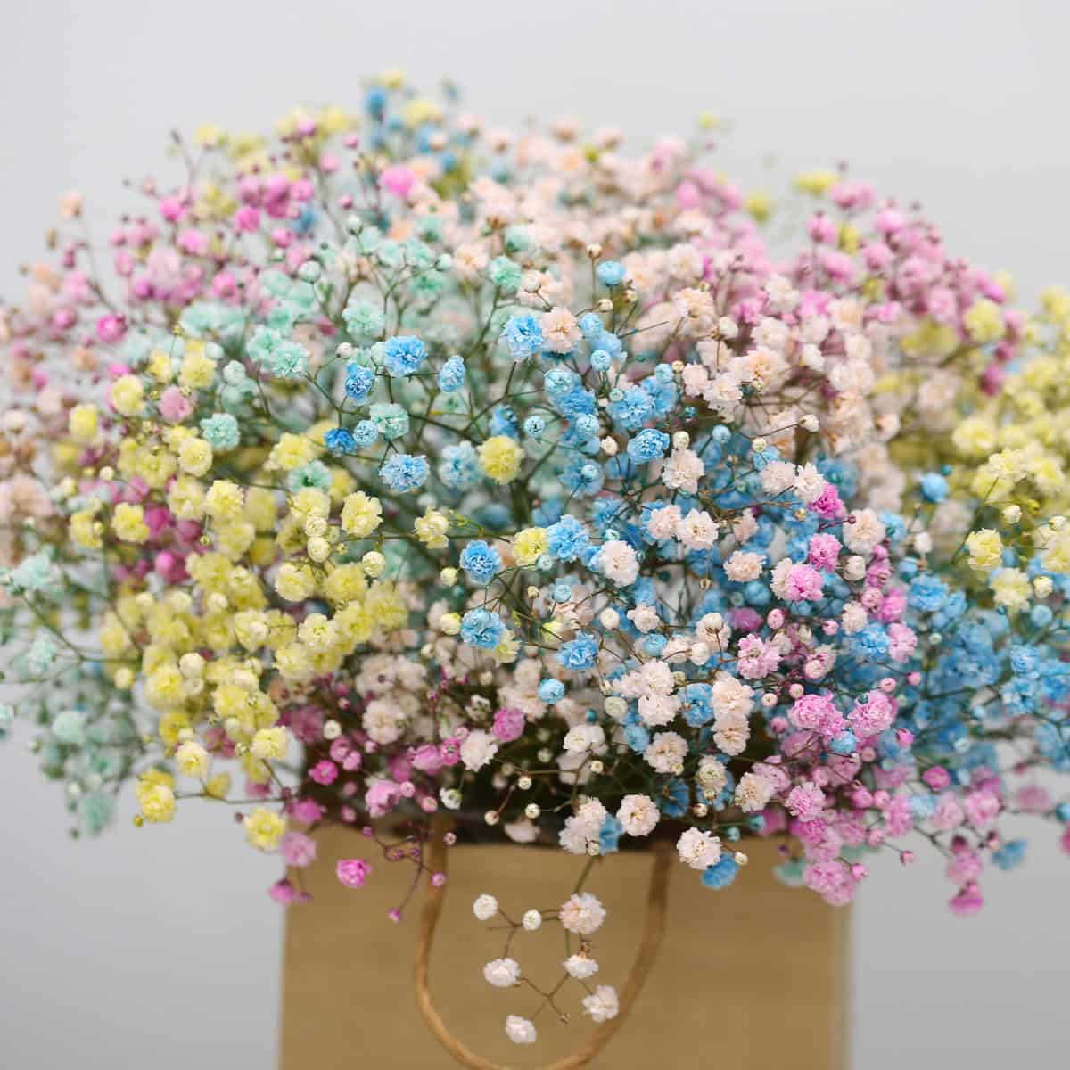 Cotton Candy Cloud – Pastel Rainbow Gypsophila Bouquet in Kraft Bag