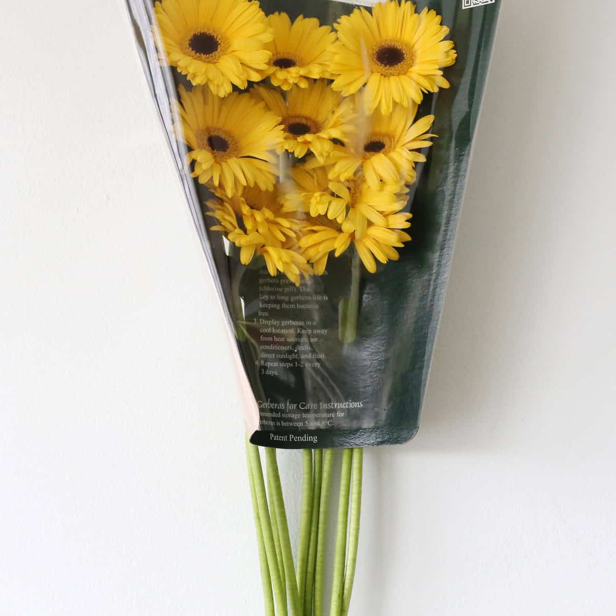 Mini Gerbera Claro (Bulk DIY)