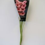 Mini Gerbera Smart (Bulk DIY)