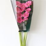 Mini Gerbera Sympathy (Bulk DIY)