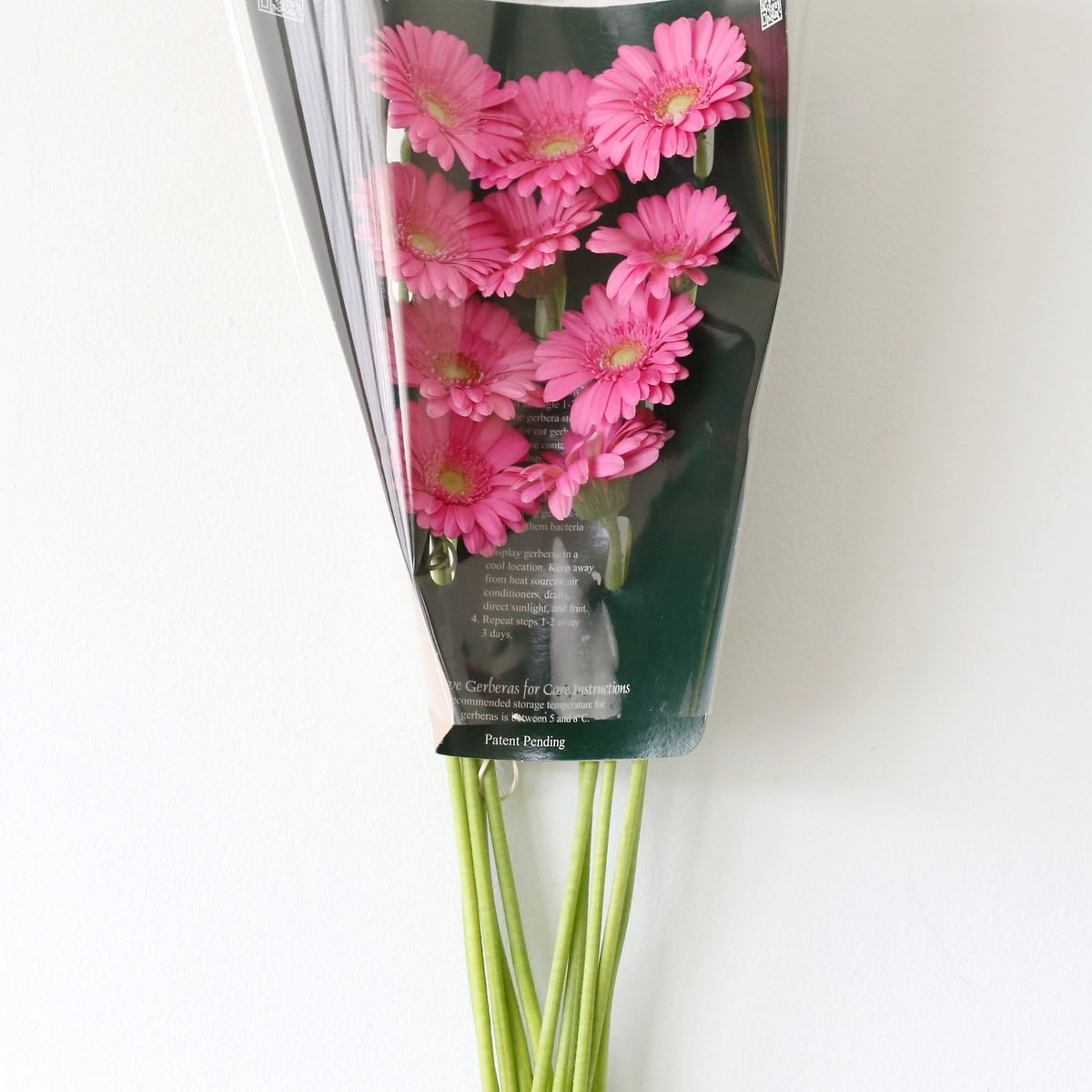 Mini Gerbera Sympathy (Bulk DIY)
