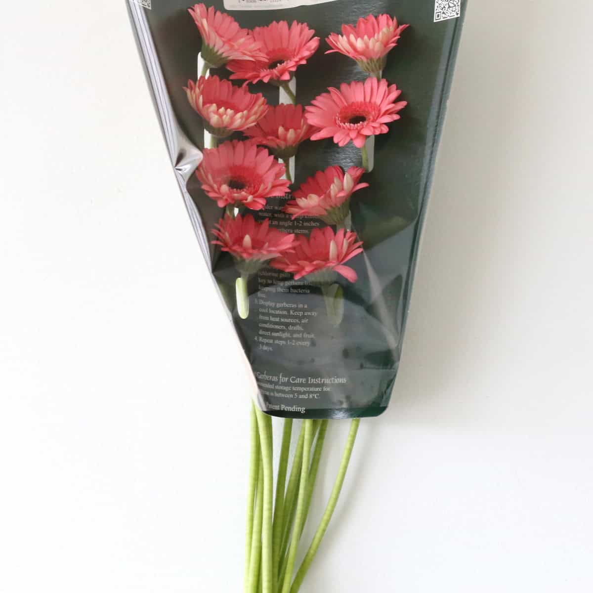 Mini Gerbera Vidal (Bulk DIY)